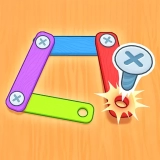 Screw Puzzle Master game cover